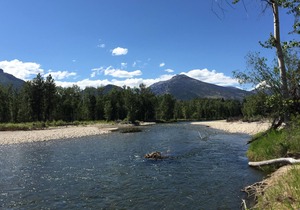 ABC acres' Gate House - Agritourism & Adventure in Montana's Bitterroot Valley!