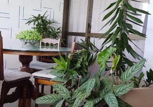 Aconchegante apartamento vista mar no Vila Real Porto Brasil