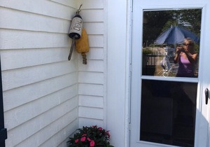Adorable 2 BR Pine Point Cottage - Walk to Beach