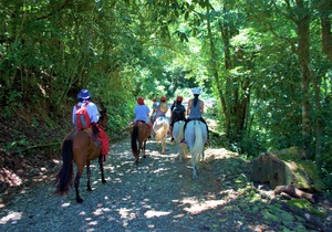 Adventure Park And Hotel Vista Golfo, Puntarenas