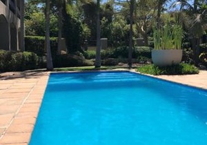 African Palm Cottage and Guesthouse