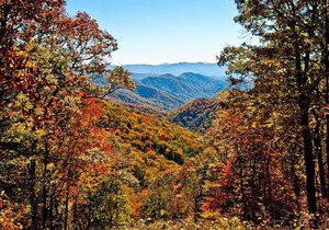 African Safari - One Bedroom Cabin