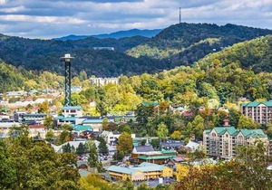 African Safari - One Bedroom Cabin