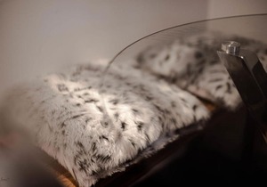 Air Host and Stay - Apartment 5 Broadhurst Court sleeps 6 minutes from town centre