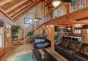 Airport Runway 33 cabin