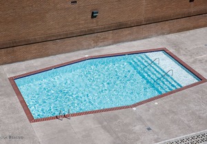 Alder Hotel Uptown New Orleans