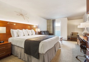 Alder Hotel Uptown New Orleans