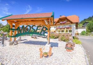Alpengasthof Moser