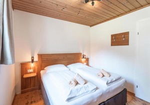 Alpensteinbock Saalbach D