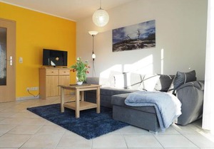 Alte Reihe 10 - Silbermöwe 2