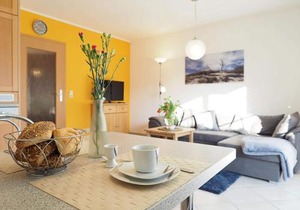 Alte Reihe 10 - Silbermöwe 2