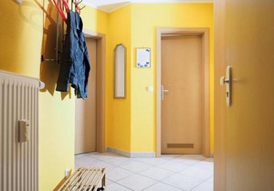 Alte Reihe 10 - Silbermöwe 3