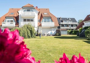 Alte Reihe 10 - Silbermöwe 3