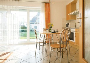 Alte Reihe 10 - Silbermöwe 3