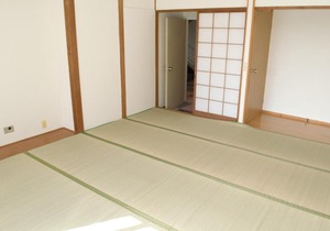 Amami - Vacation STAY 83864