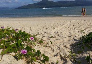 Ampla Casa na Praia da Daniela