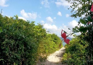 Ampla Casa na Praia da Daniela
