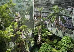 AN ADVENTURE AWAITS! 2 SPACIOUS UNITS, POOL, COMPLIMENTARY BREAKFAST!