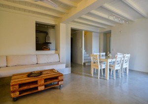 Andros Tessera - Senior Villa