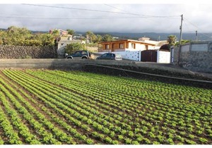 Apartamento las Viñas 1