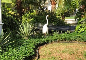 Apartamento Wembley Tenis - Toninhas - Ubatuba