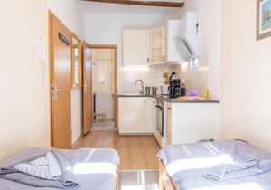 Apartment 1 - Apartments in the old town Stralsund