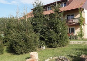 Apartment Boroví