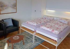 Apartment Cransalpin in Crans-Montana - 2 persons, 1 bedrooms