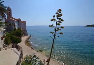 Apartment Damir in Rab/Rab - 4 persons, 2 bedrooms