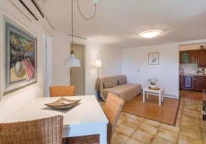 Apartment Dracice Vi