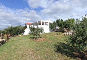 Apartment Edi - amazing location by the sea: A4(4) - Rtina, Zadar riviera, Croatia