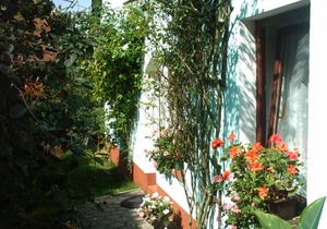 Apartment - holiday rentals on Burgwall in family Möller