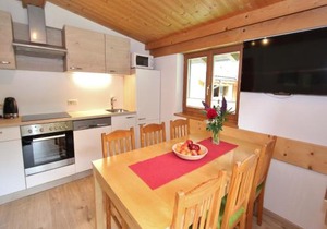 Apartment in Viehhofen near Ski Lifts