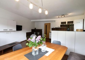 Apartment in Hippach near Mayrhofen Ski Area