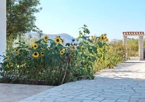 Apartment Luce - family friendly & parking: A5(4) - Pag, Island Pag, Croatia