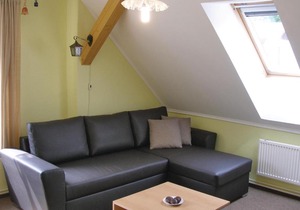 Apartment Mlade Buky 12