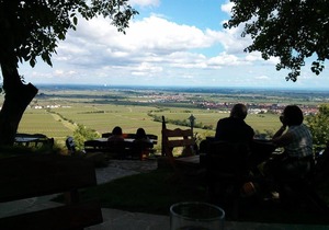 Apartment No. 2 - Apartments Am Pfaffensee