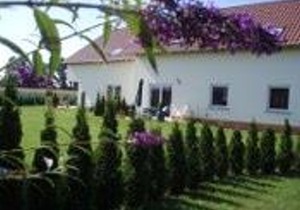 Apartment No. 2 - Apartments Am Pfaffensee