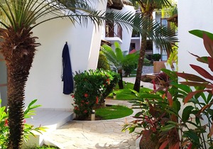 Apartment Nook of Dolphins Pipa