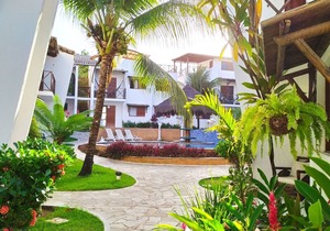 Apartment Nook of Dolphins Pipa