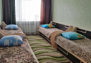 Apartment on Chkalova 2d