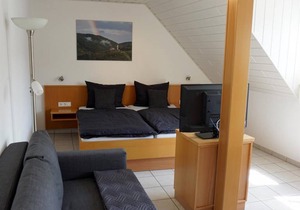 Apartment, shower, toilet, 1 bed room