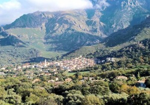 Apartment Thalassa - Cal201