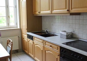 Apartment Tulpe - * 5 very comfortable apartments in the castle Peckatel *