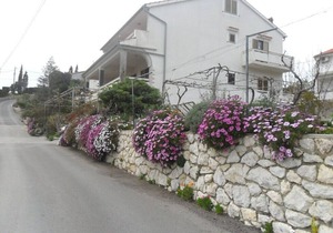 Apartments and rooms Josipa, (13907), Palit, Croatia
