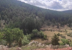 Apartments in Bronchales, Spain