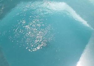 Apartments in Guadeloupe