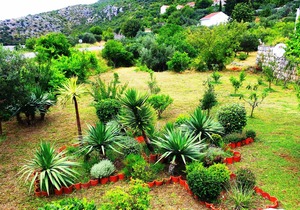 Apartments Lina - Two Bedroom Apartment with Terrace (A1)