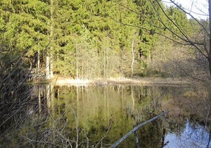 Apartments, Lissendorf