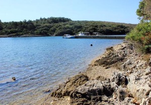 Apartments with parking space Punta kriza, Cres - 867